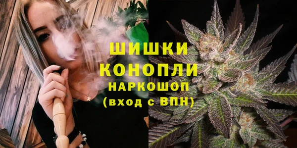 PSILOCYBIN Балабаново