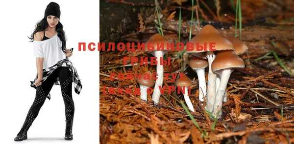 PSILOCYBIN Балабаново