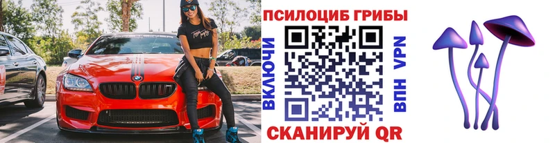 Галлюциногенные грибы Psilocybe  Купить  Вилюйск 